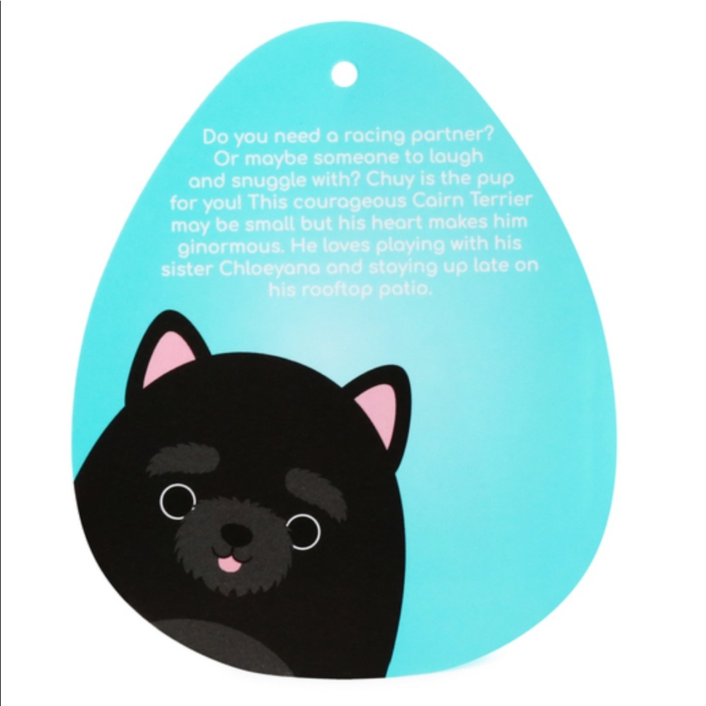 NWT 7.5” Chuy the Cairn Terrier Squishmallow - Picture 2 of 2